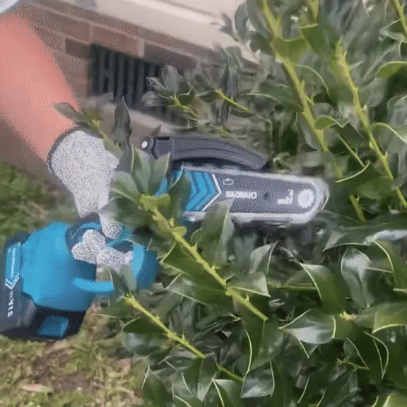 Raptor 6 - 21V Cordless Chainsaw