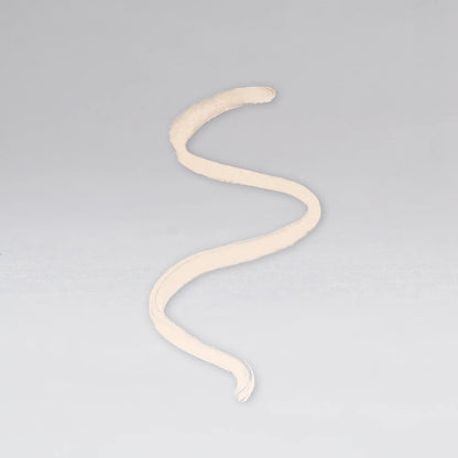 SMARTEX INVISIBLE LIP LINER